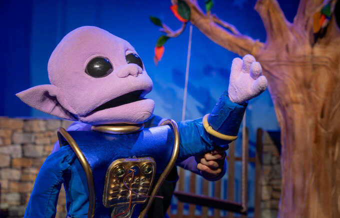 Zoom! Photo Gallery!